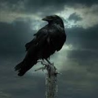 .The Raven.
