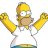 - Homer Simpson